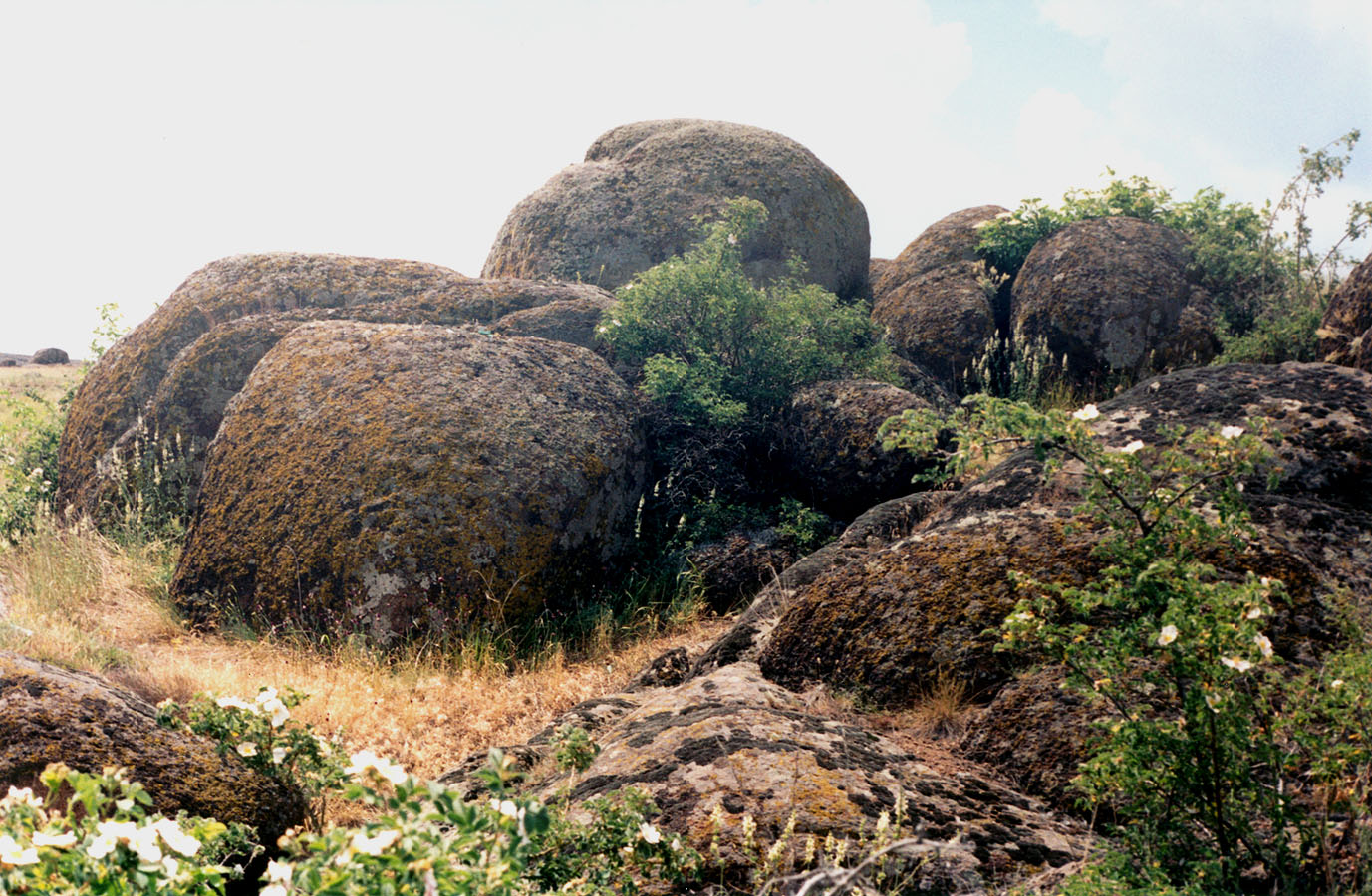 Правый берег Кальмиуса напротив Красного Октября, image of landscape/habitat.