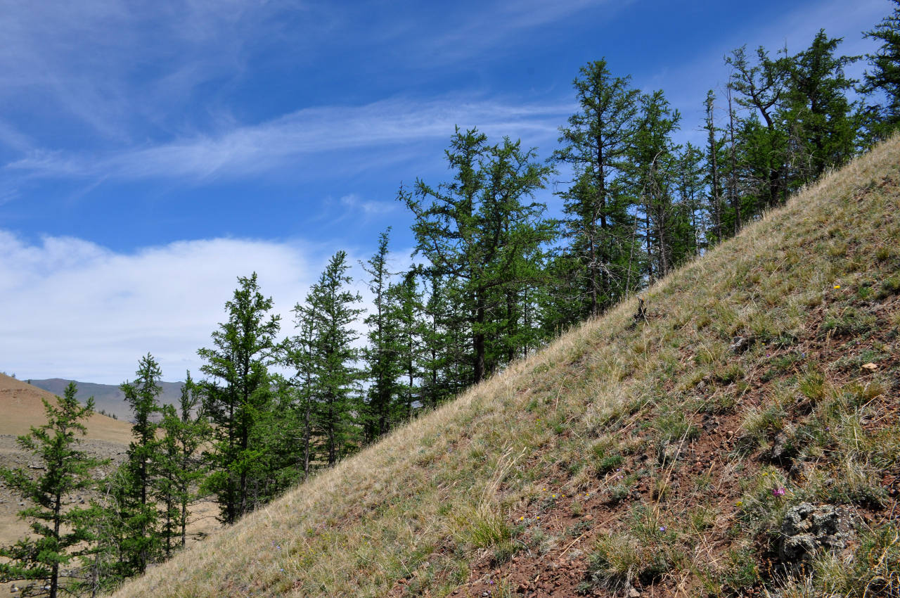 Вулкан Хэрийин, image of landscape/habitat.