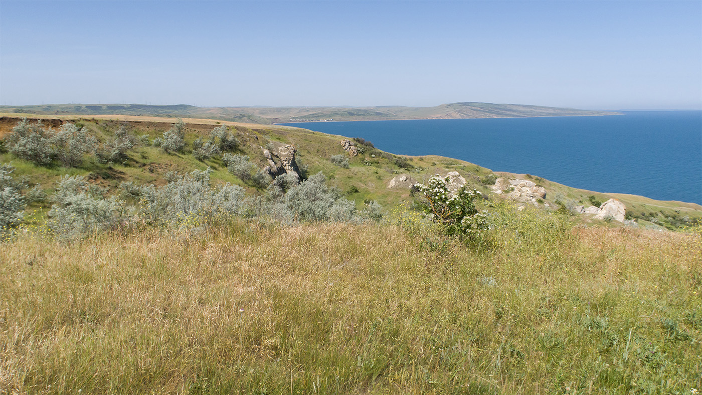 Мыс Газан, image of landscape/habitat.