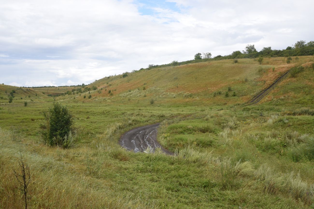 Школьный бугор, image of landscape/habitat.