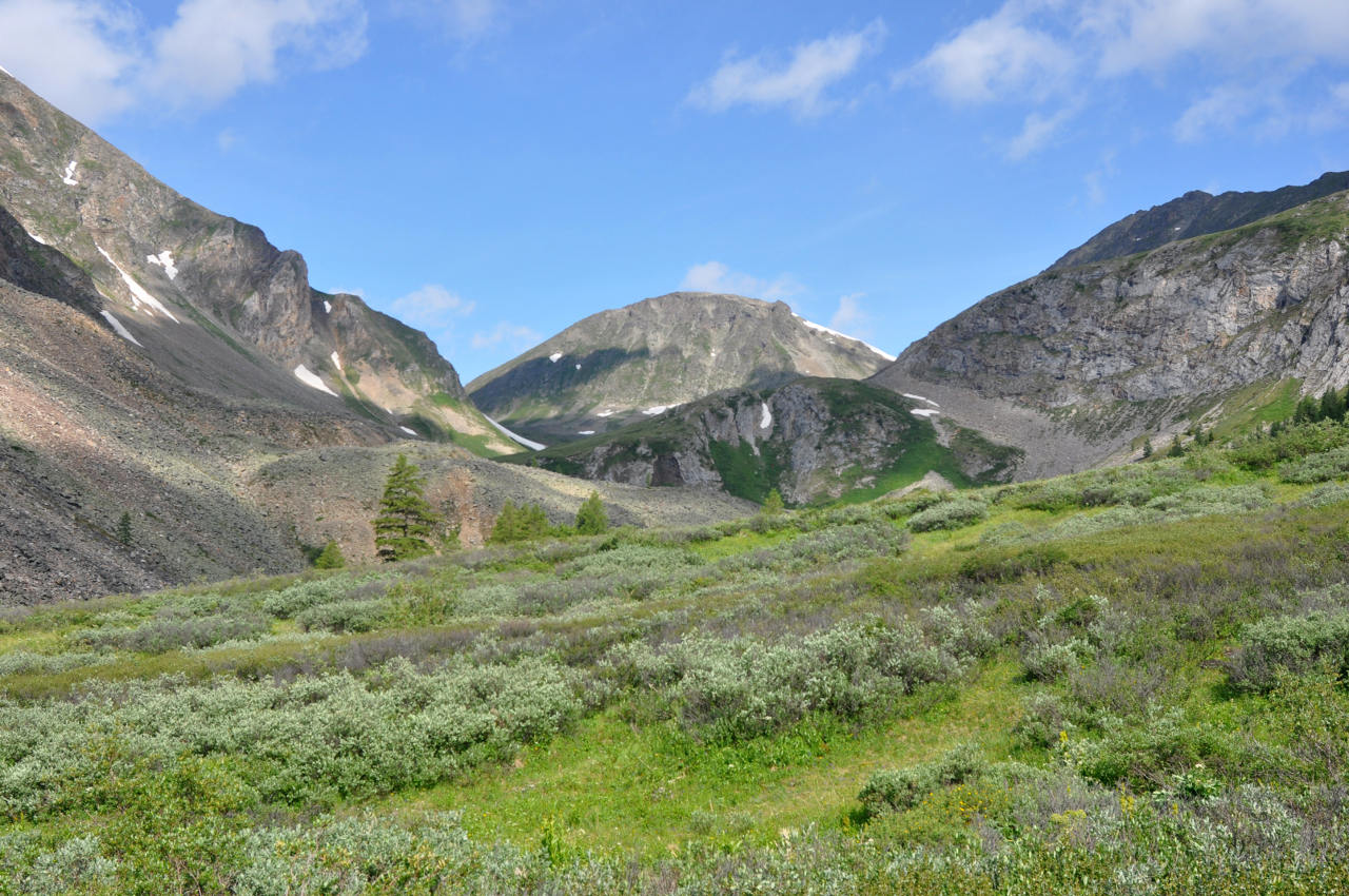 Долина реки Аршан, image of landscape/habitat.