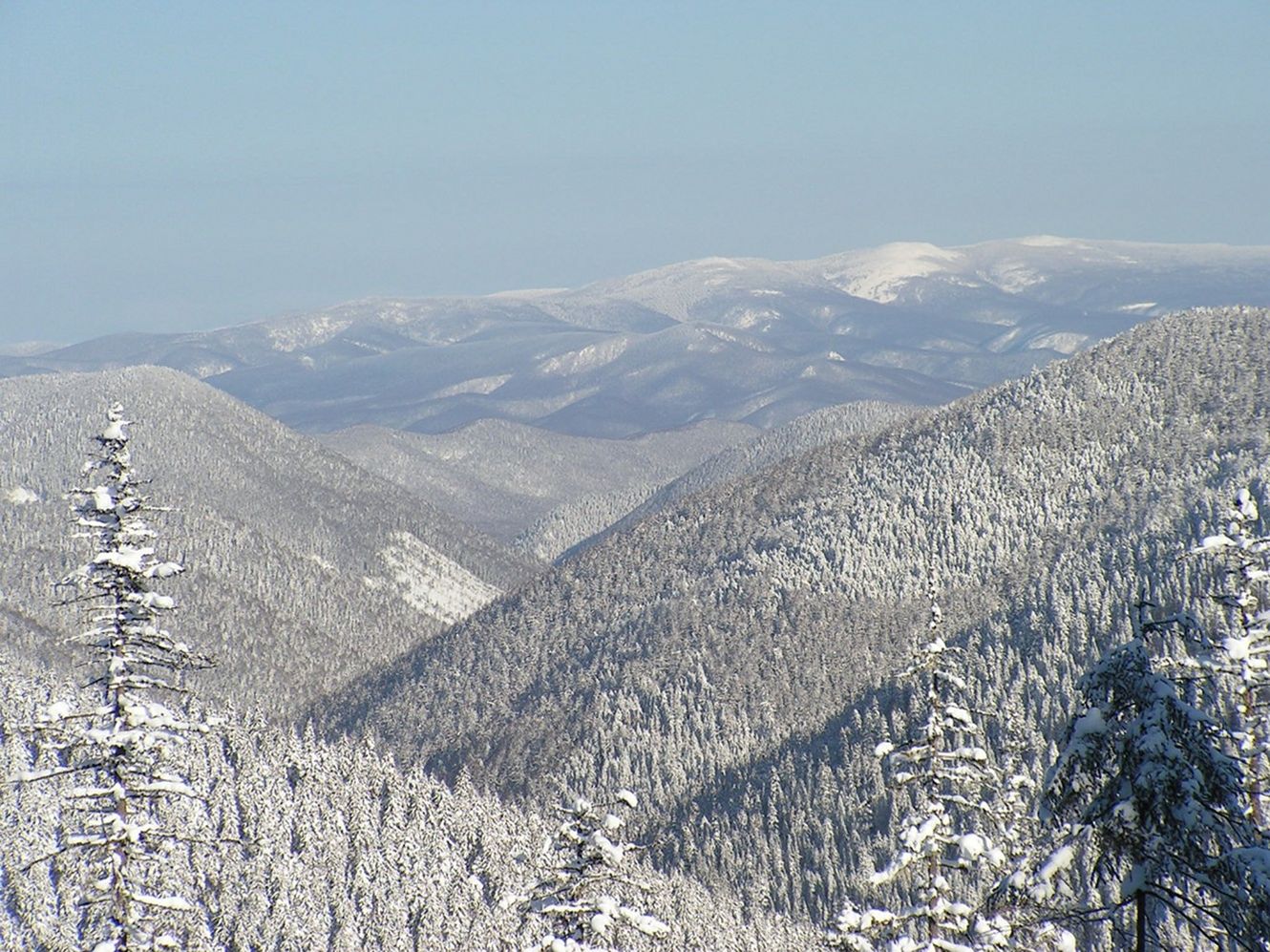 Хребет Большой Ян, image of landscape/habitat.