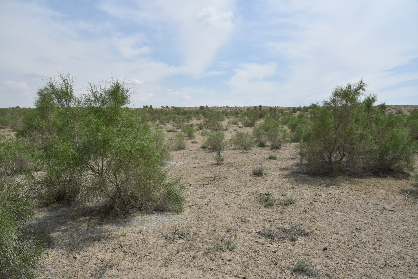 Тудакуль, image of landscape/habitat.