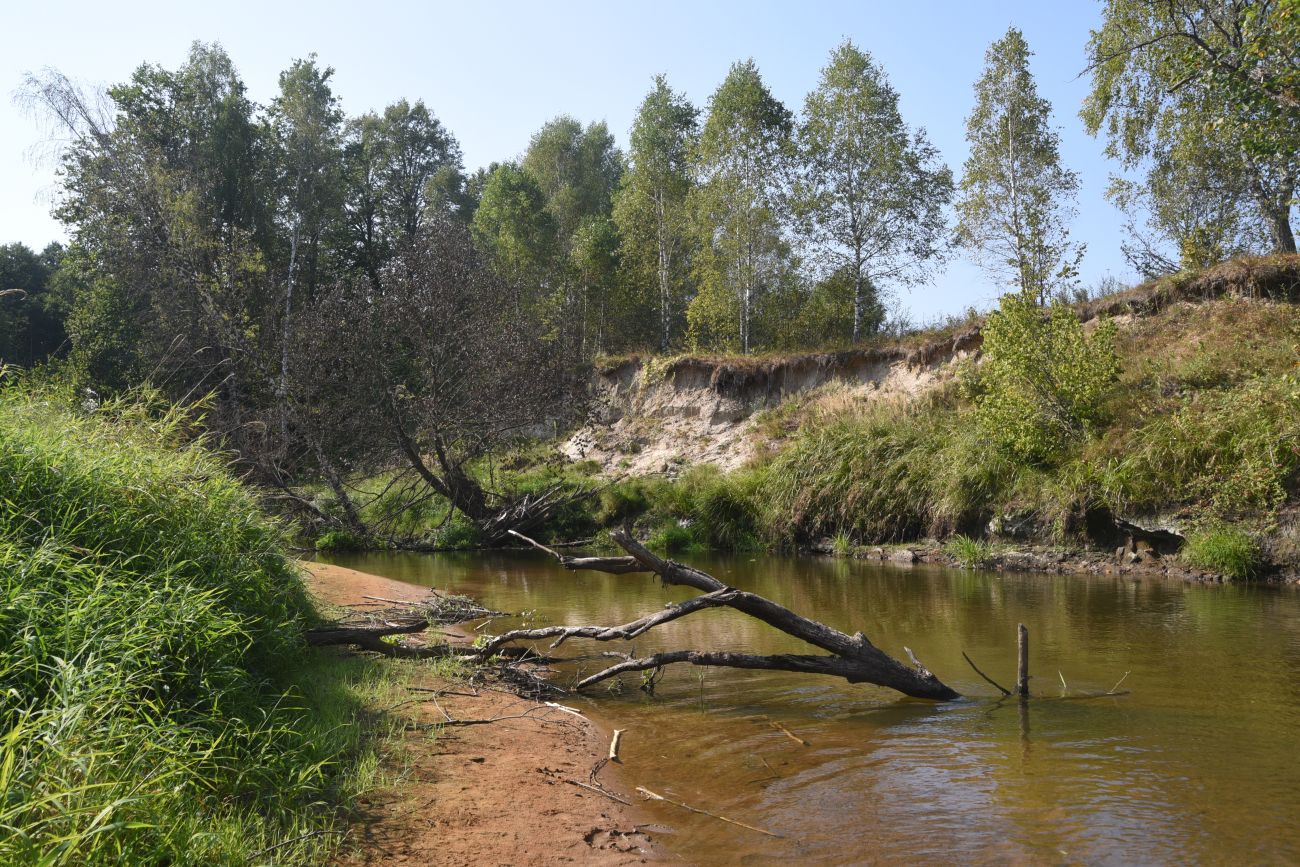 Устье ручья Полянка, image of landscape/habitat.