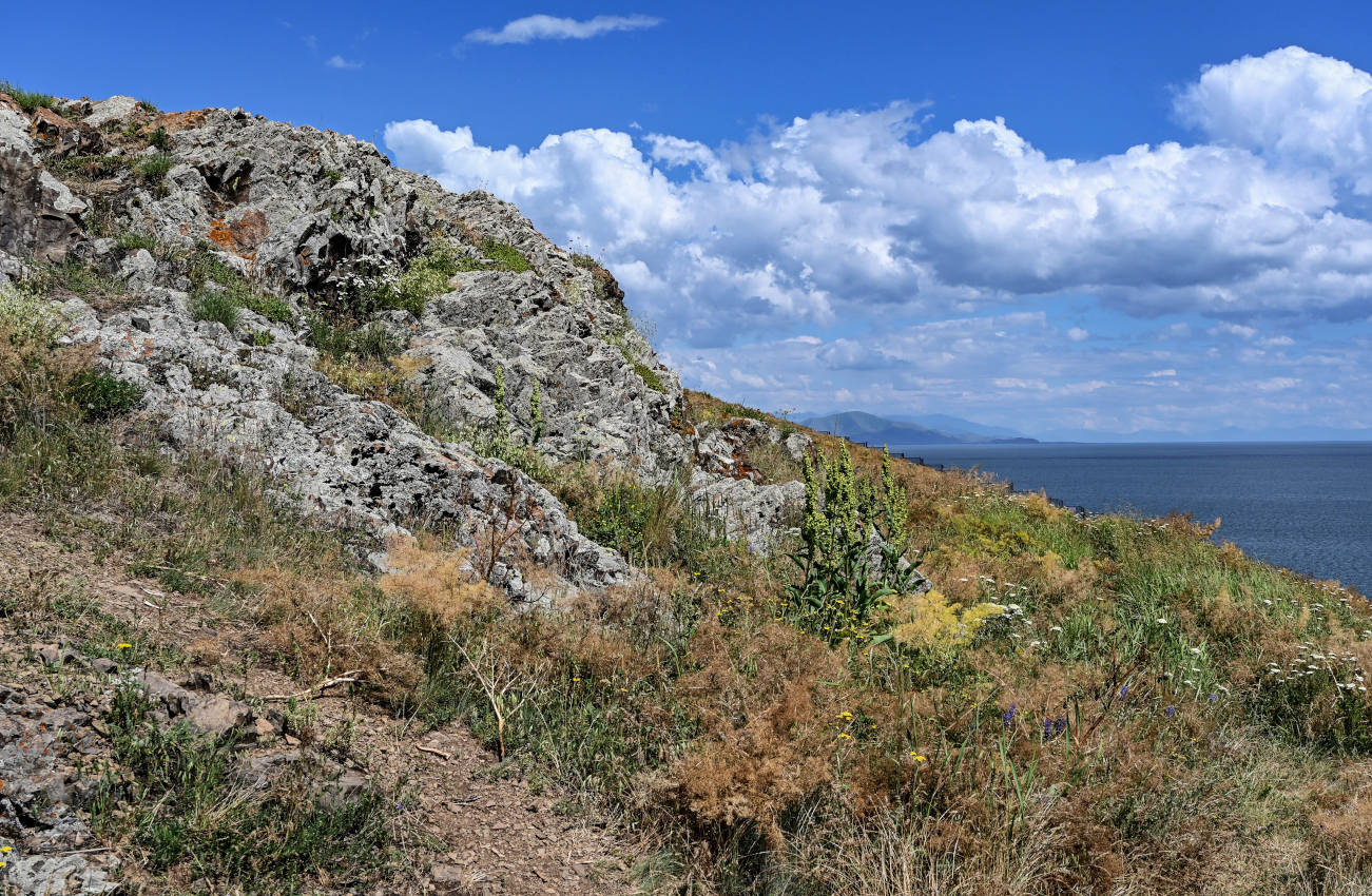 Севанаванк, image of landscape/habitat.