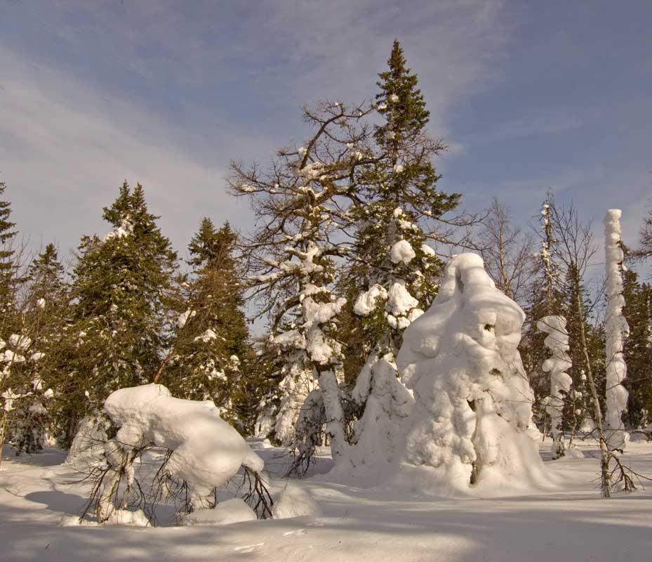 Хребет Большая Сукá, image of landscape/habitat.