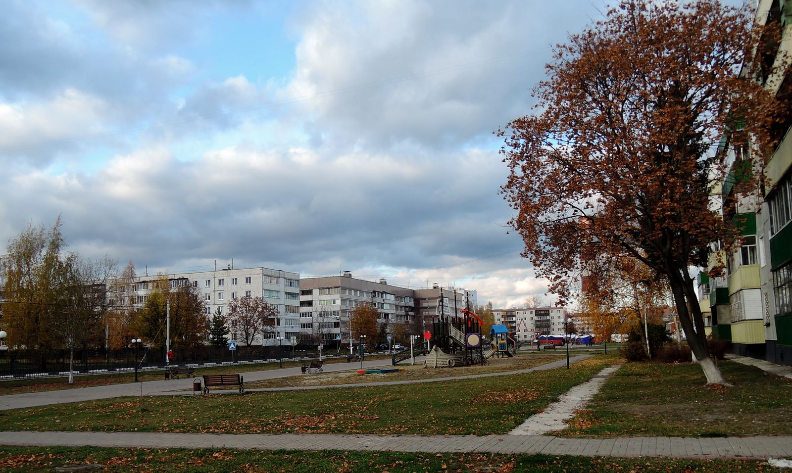 Электрогорск и его окрестности, изображение ландшафта.