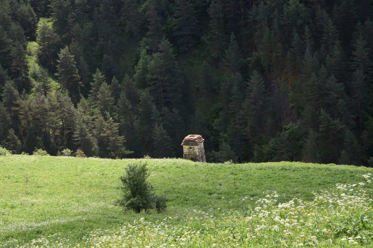 Окрестности урочища Меллер, image of landscape/habitat.