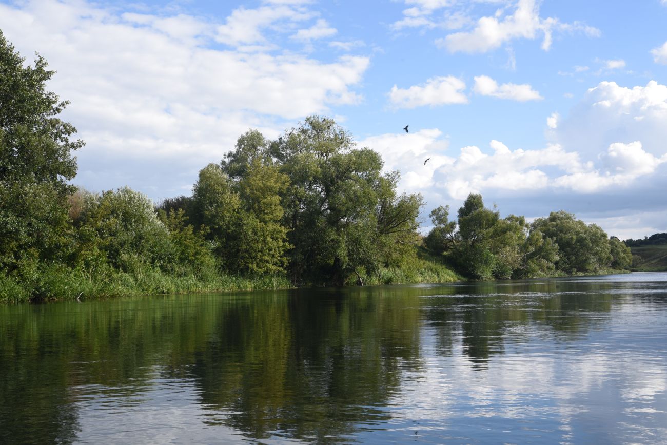 Устье реки Кочуровка, изображение ландшафта.