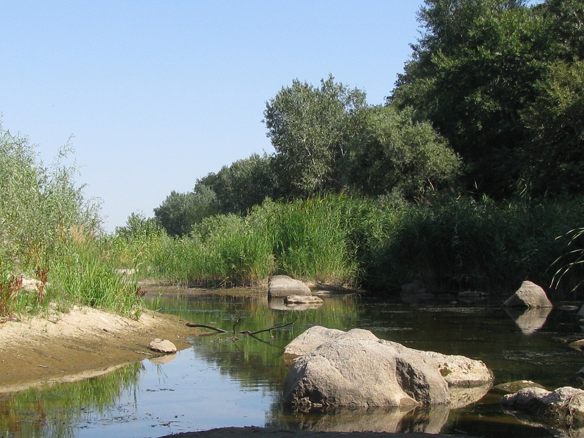 Остров Хортица, изображение ландшафта.