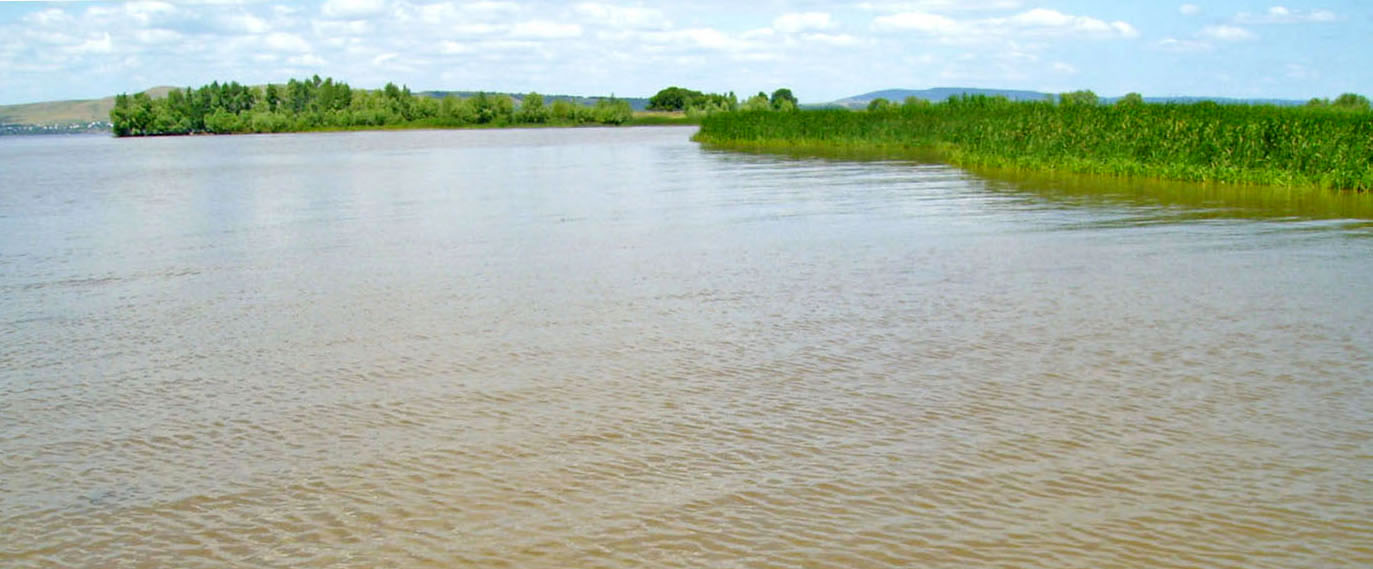 Саратовское водохранилище, image of landscape/habitat.