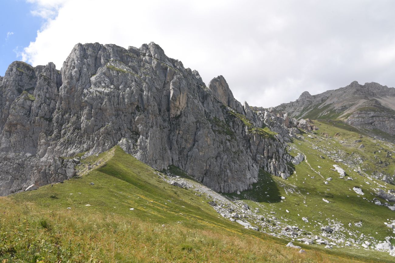 Гузерипльский перевал, image of landscape/habitat.