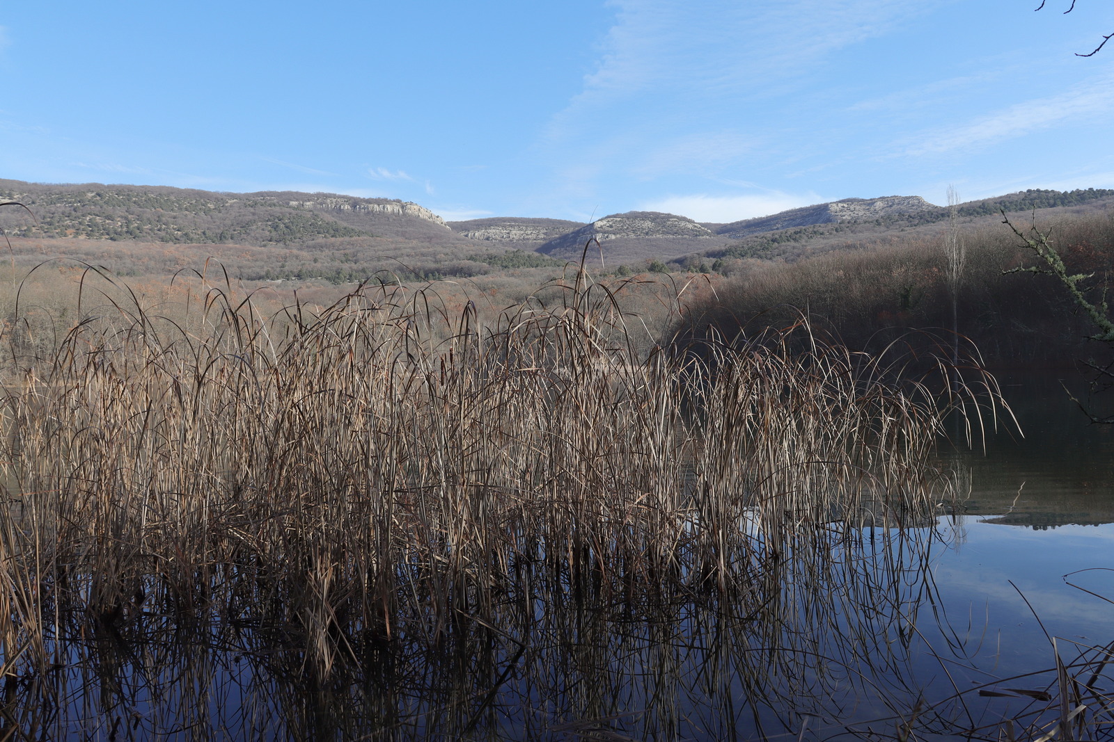 Байдарская долина, image of landscape/habitat.