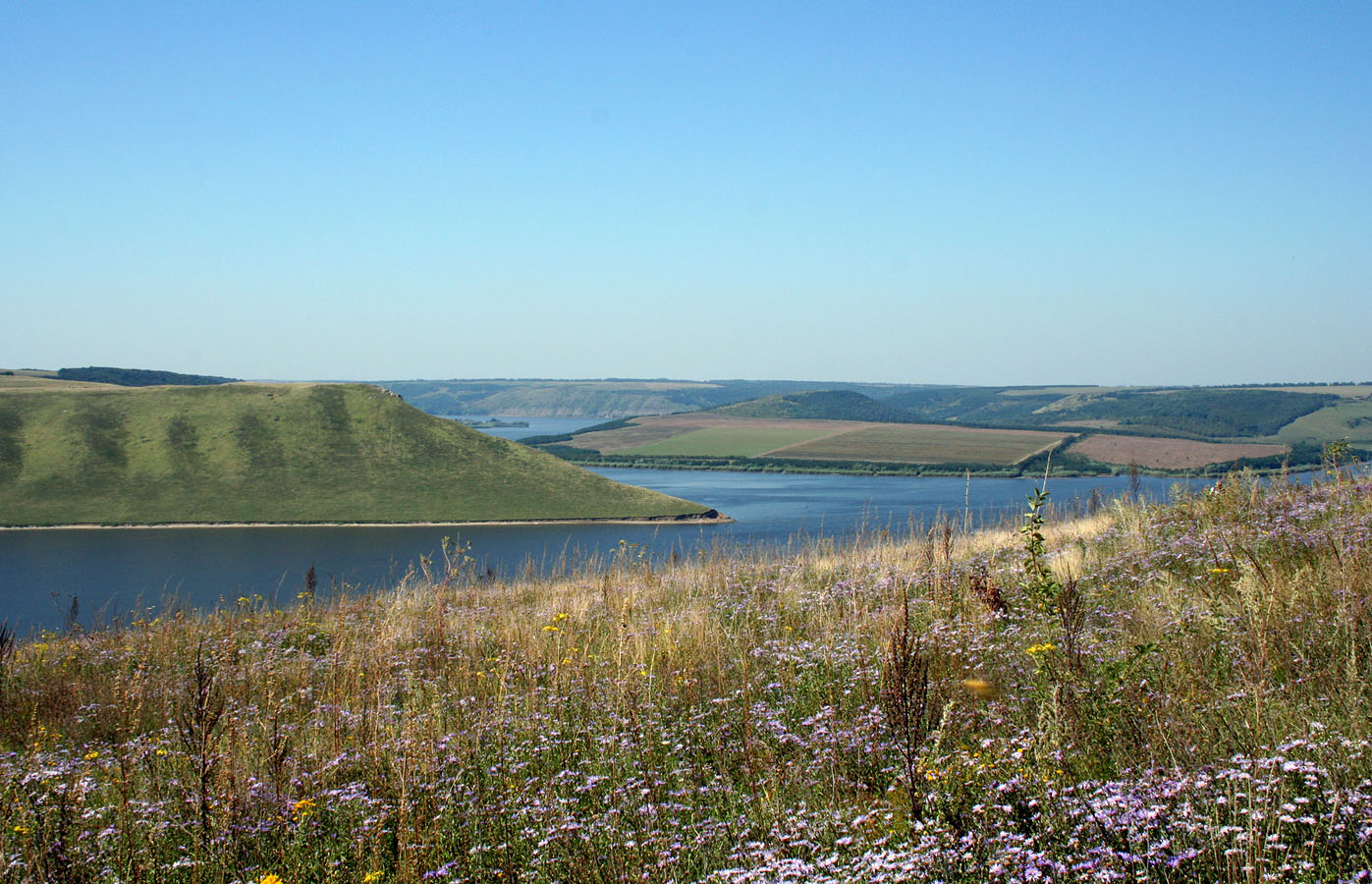 Бакотский залив, image of landscape/habitat.