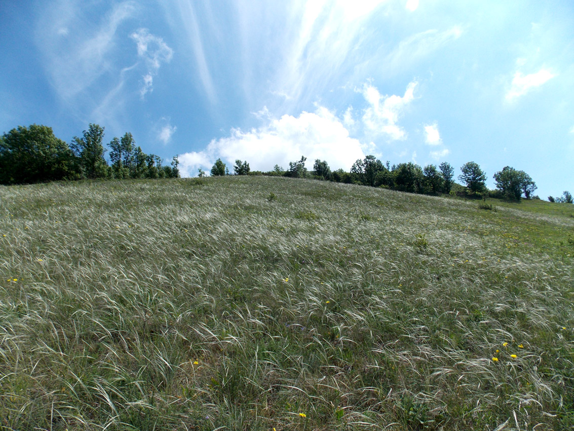 Отрог Маркотхского хребта, image of landscape/habitat.