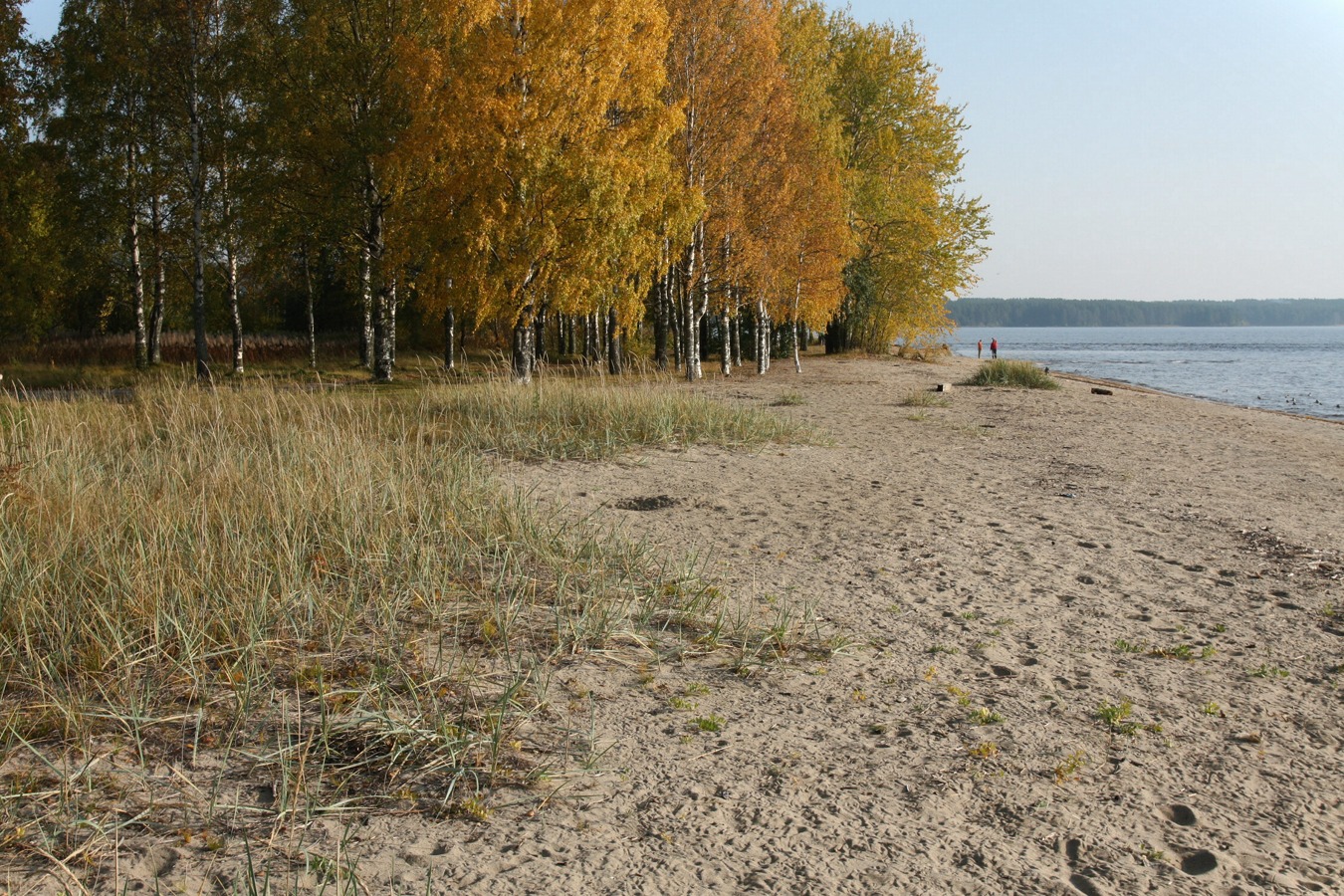 Медвежьегорск и окрестности, image of landscape/habitat.