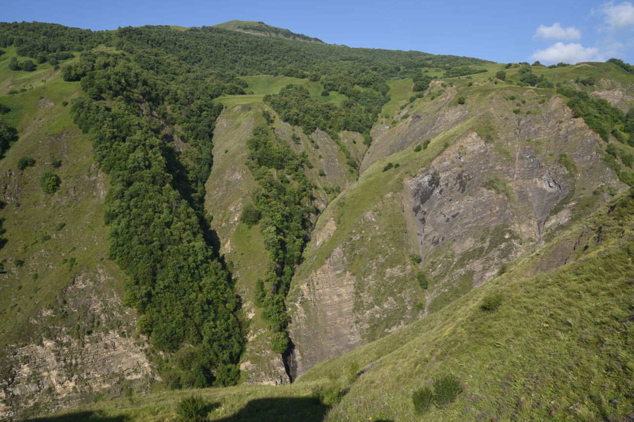 Долина реки Шикаройакх, image of landscape/habitat.