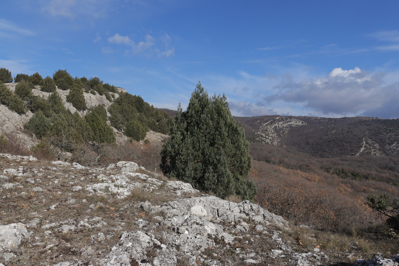 Байдарская долина, image of landscape/habitat.