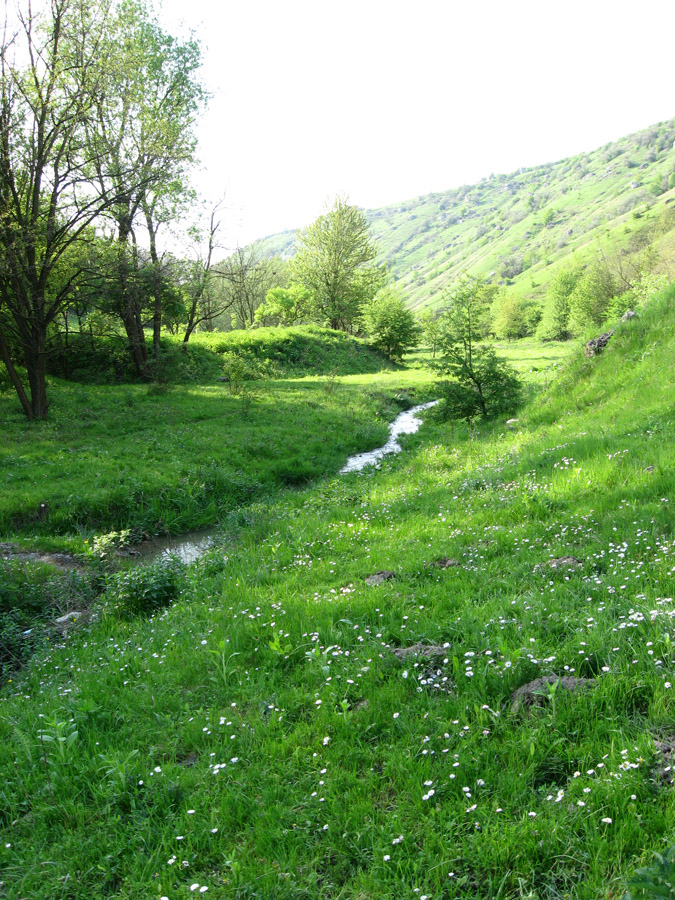 Ломачинцы, изображение ландшафта.