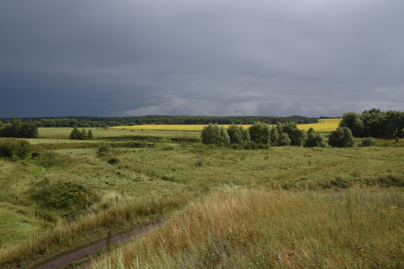 Балка Крутой Овраг, image of landscape/habitat.