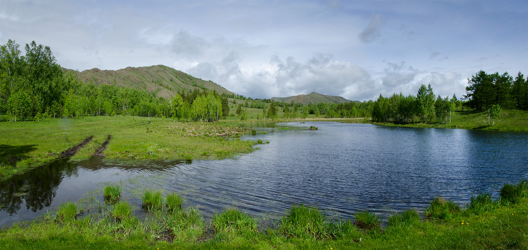 Яльчигулово и окрестности, image of landscape/habitat.