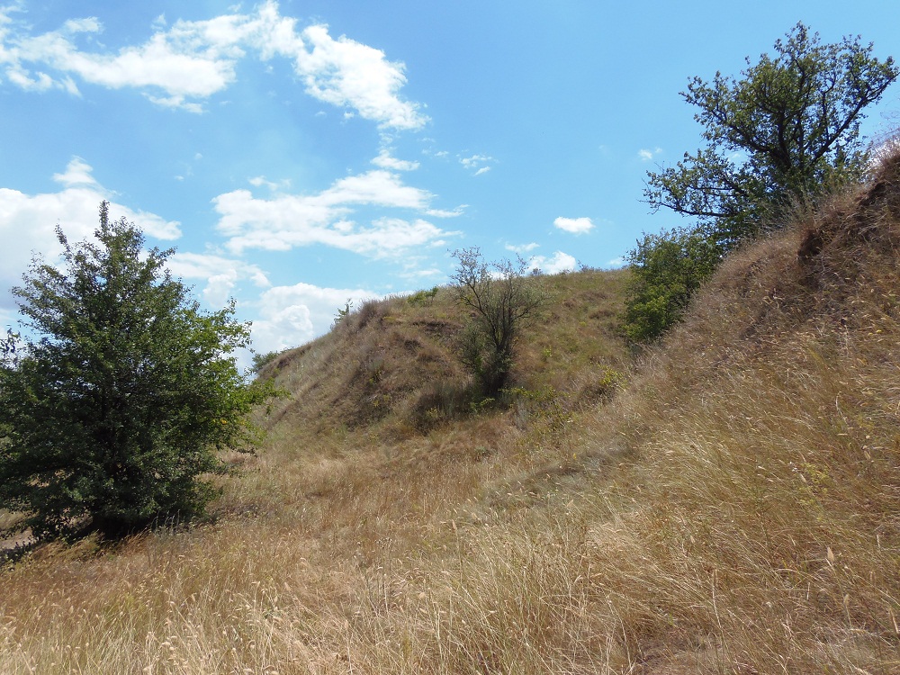 Остров Хортица, image of landscape/habitat.