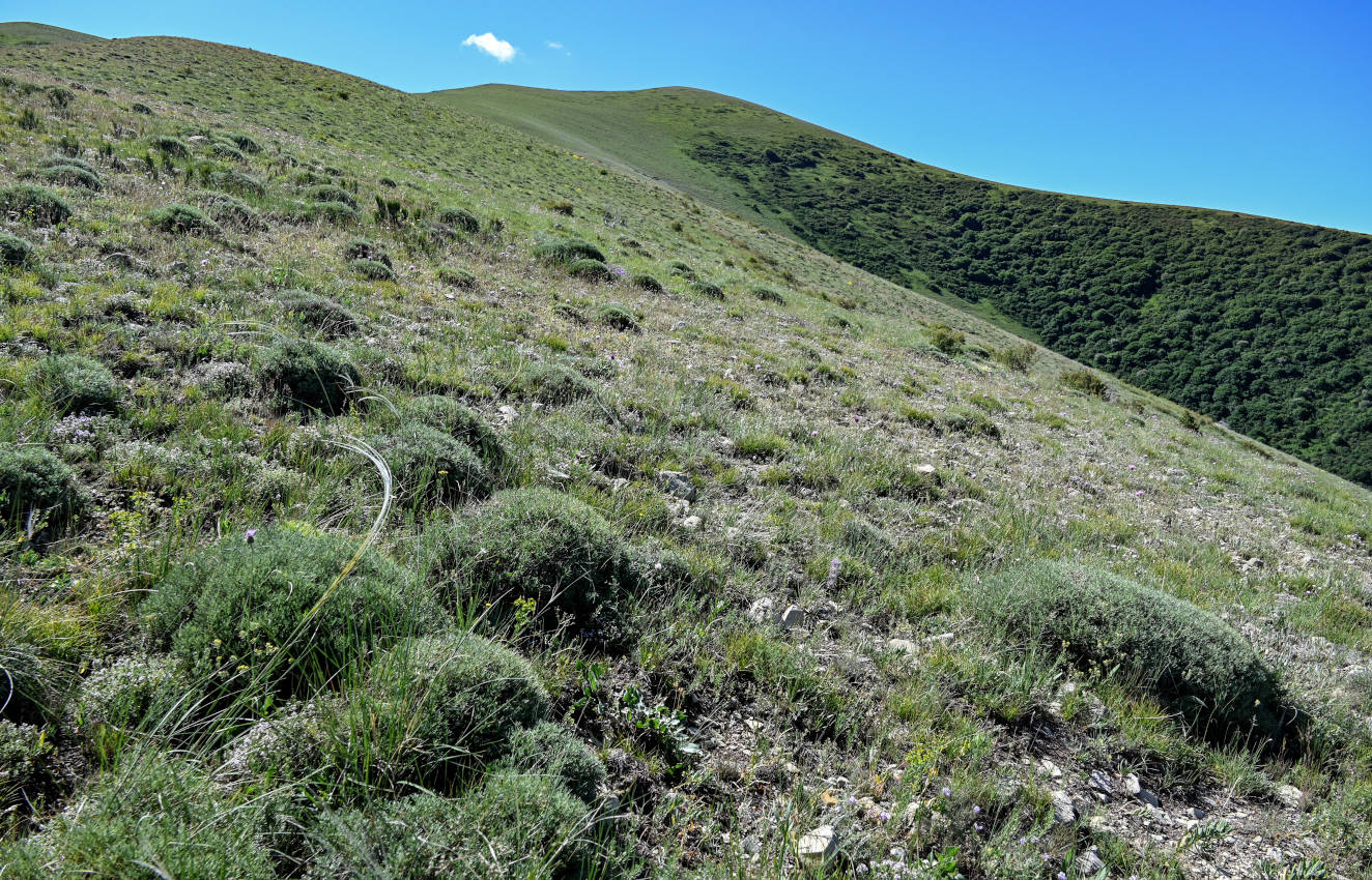 Гора Артаниш, изображение ландшафта.