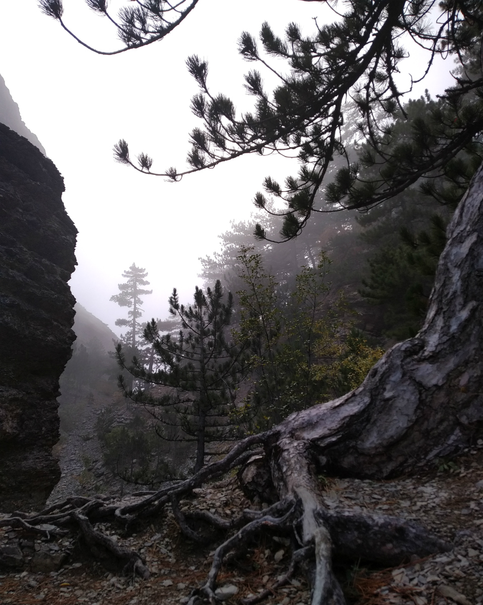 Урочище Таракташ, image of landscape/habitat.