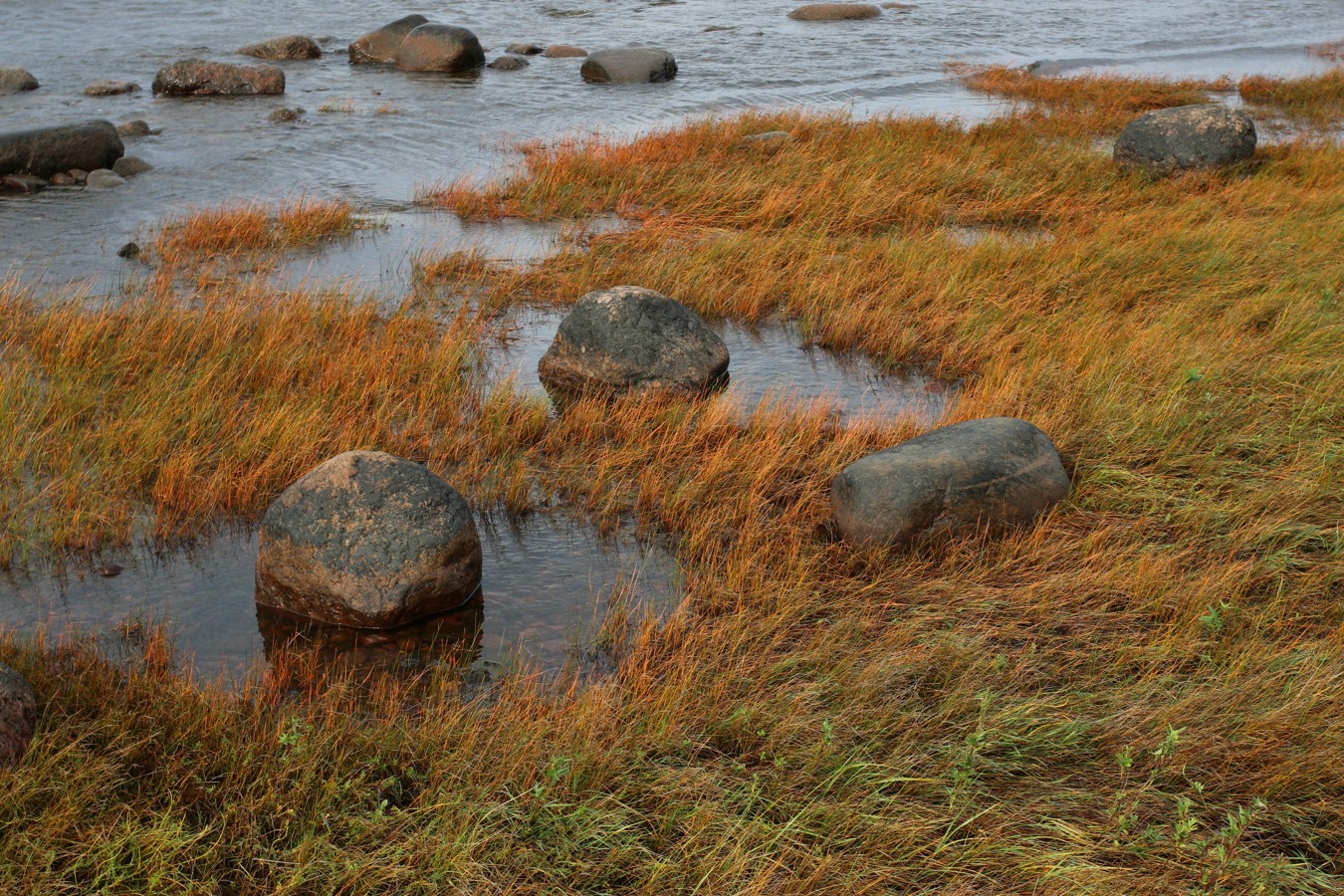 Каравалдай, image of landscape/habitat.