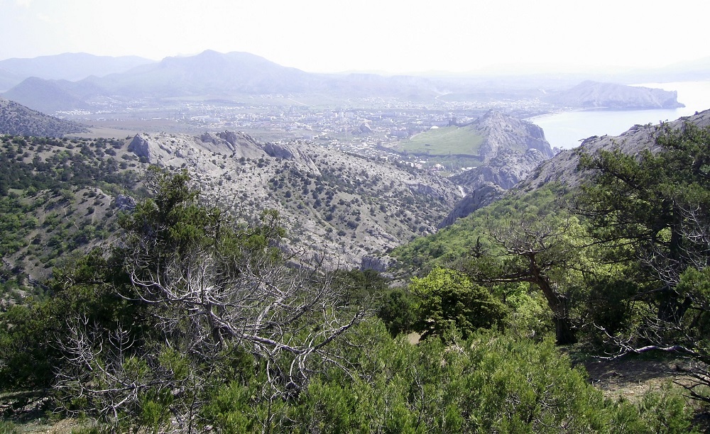 Новый Свет, image of landscape/habitat.