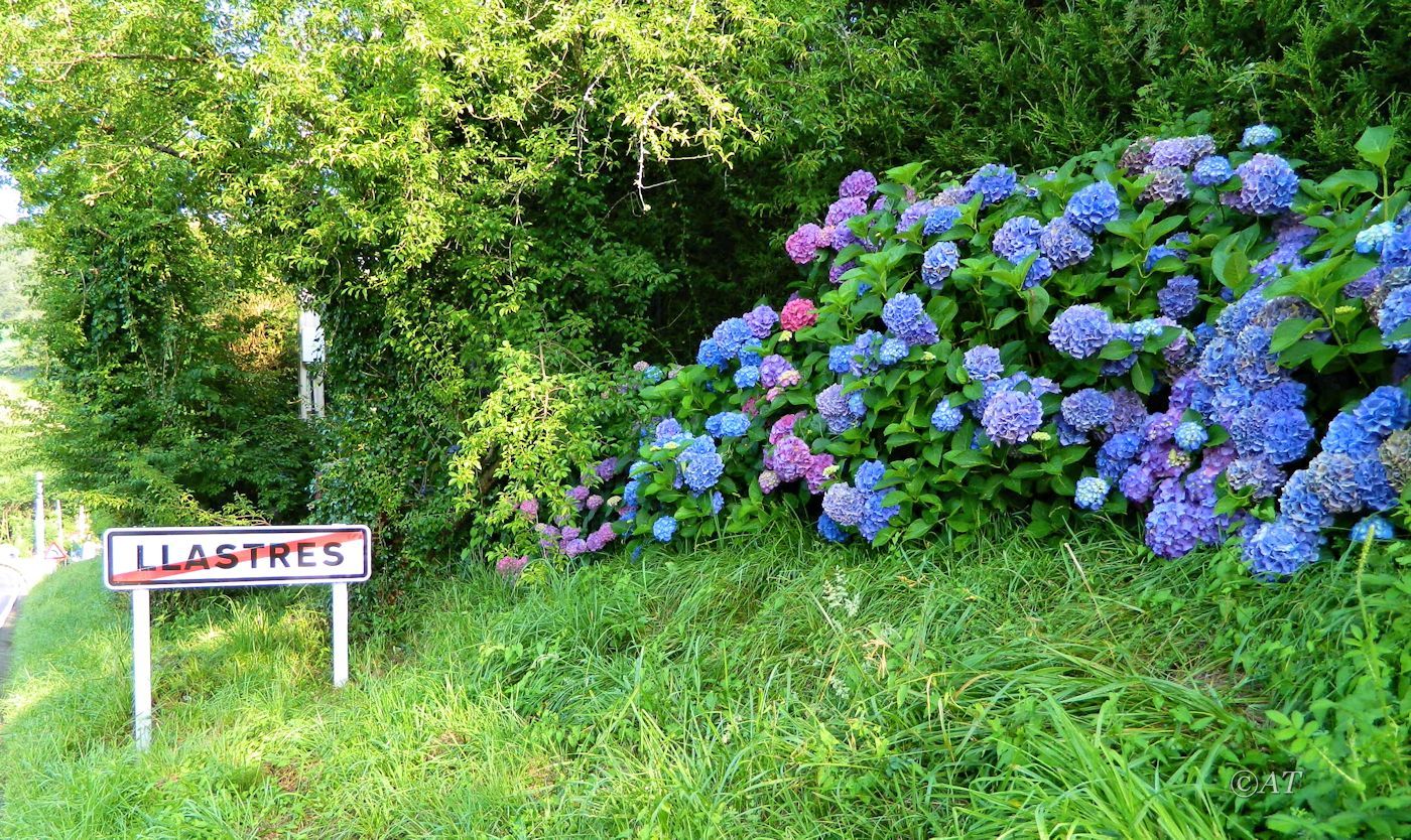 Ластрес и окрестности, image of landscape/habitat.