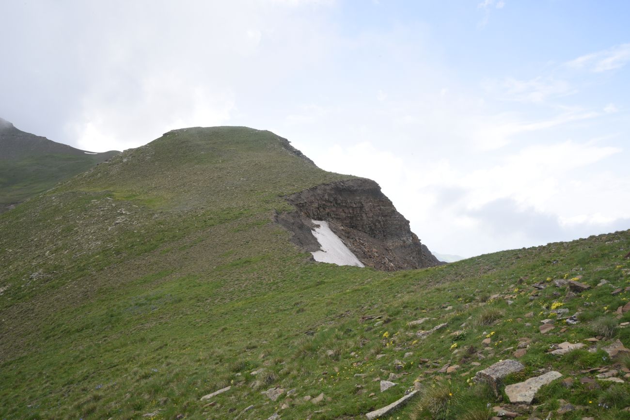 2 км от вершины горы Заинкорт, image of landscape/habitat.