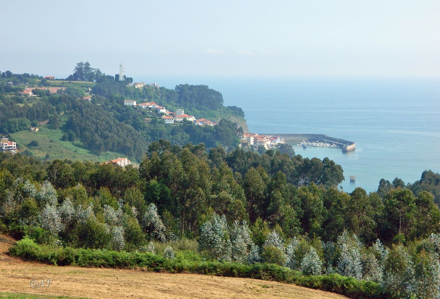 Ластрес и окрестности, image of landscape/habitat.