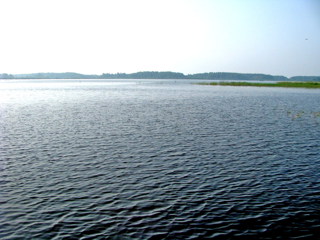 Дарвинский заповедник, image of landscape/habitat.