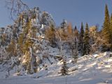 Инзерские Зубчатки, image of landscape/habitat.