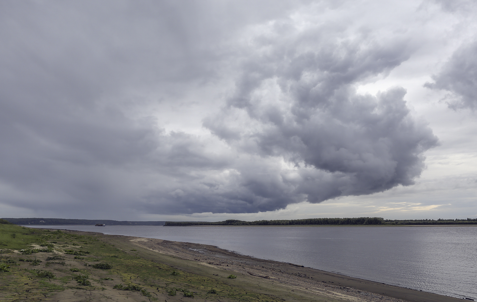 Окрестности Горнореченска, image of landscape/habitat.