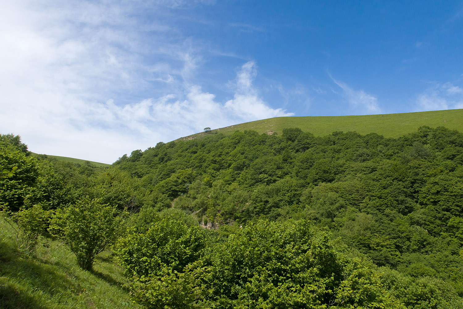 Балка Клевцова, image of landscape/habitat.