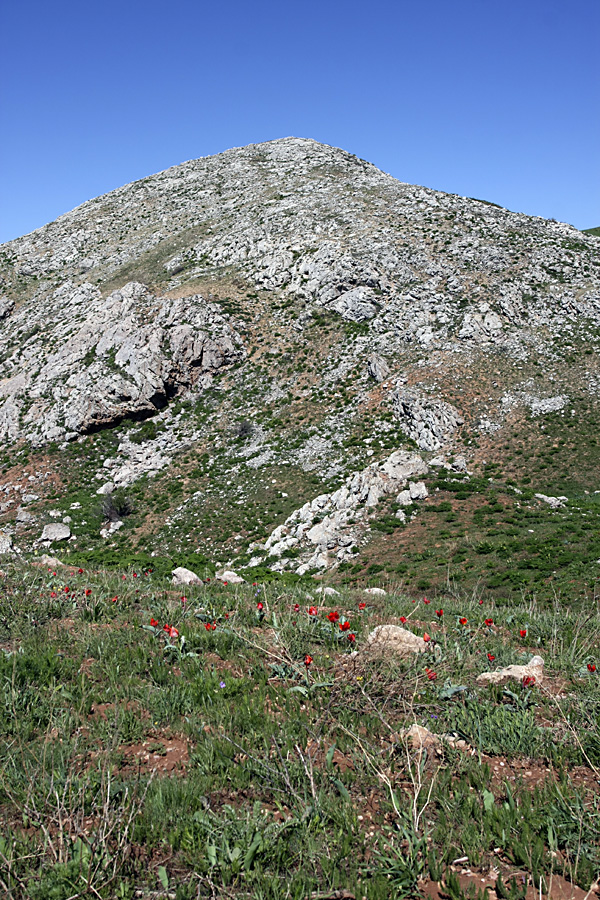 Ущелье Кенозен, image of landscape/habitat.