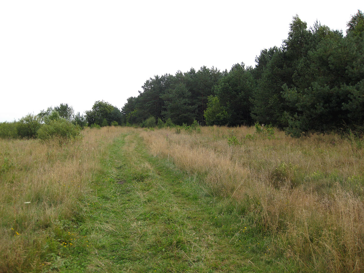 Озеро Святое, image of landscape/habitat.