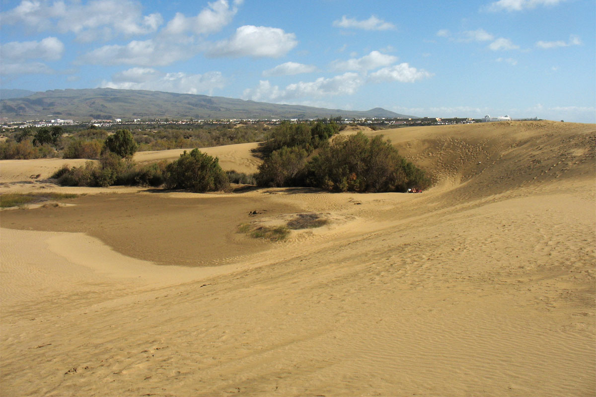 Дюны Маспаломаса, image of landscape/habitat.