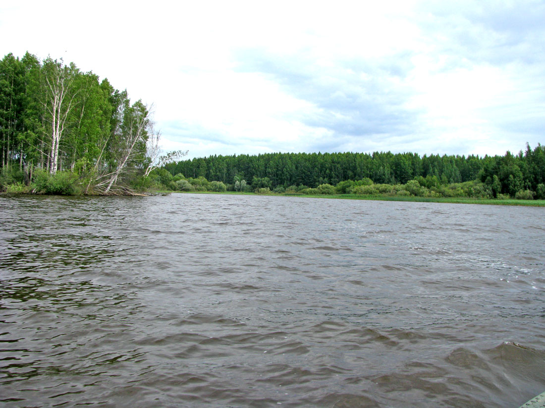 Дарвинский заповедник, image of landscape/habitat.