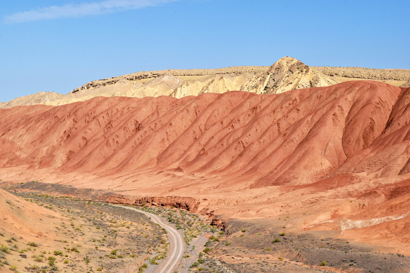 Горы Бургана, image of landscape/habitat.