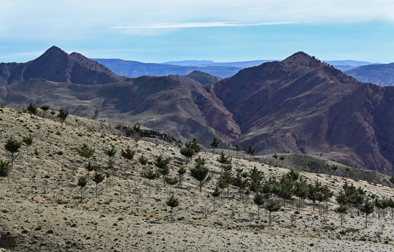 Перевал Тизи-н'Тишка, image of landscape/habitat.