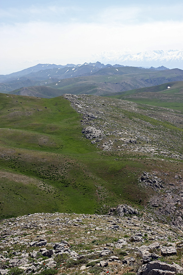 Ущелье Кенозен, image of landscape/habitat.