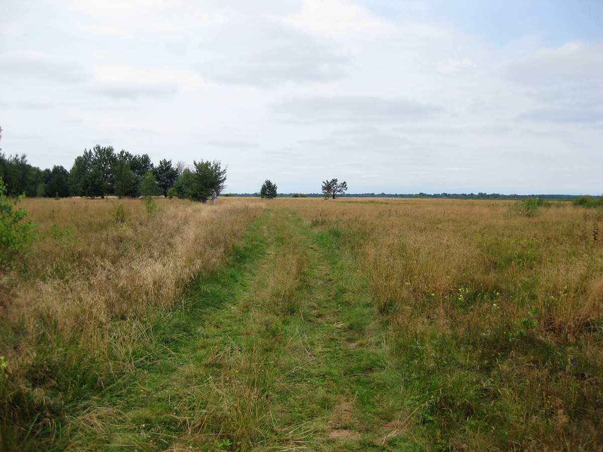 Озеро Святое, image of landscape/habitat.