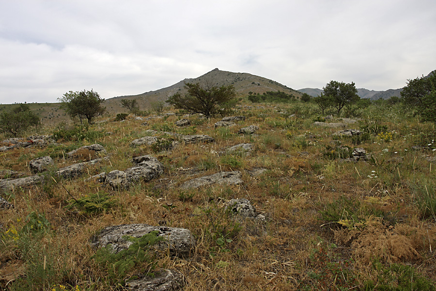 Гора Нурбай, image of landscape/habitat.