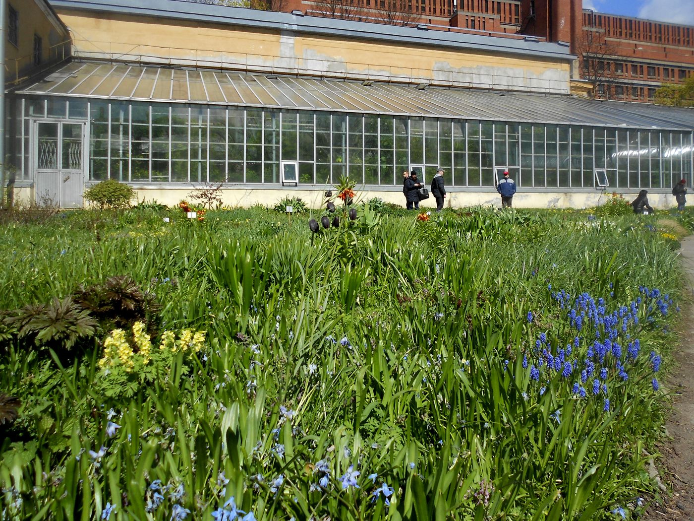 Парк Ботанического института РАН, image of landscape/habitat.