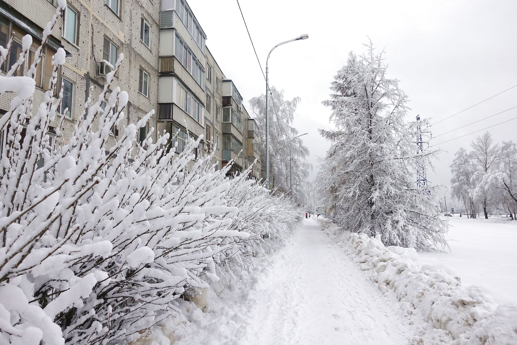 Электрогорск и его окрестности, image of landscape/habitat.