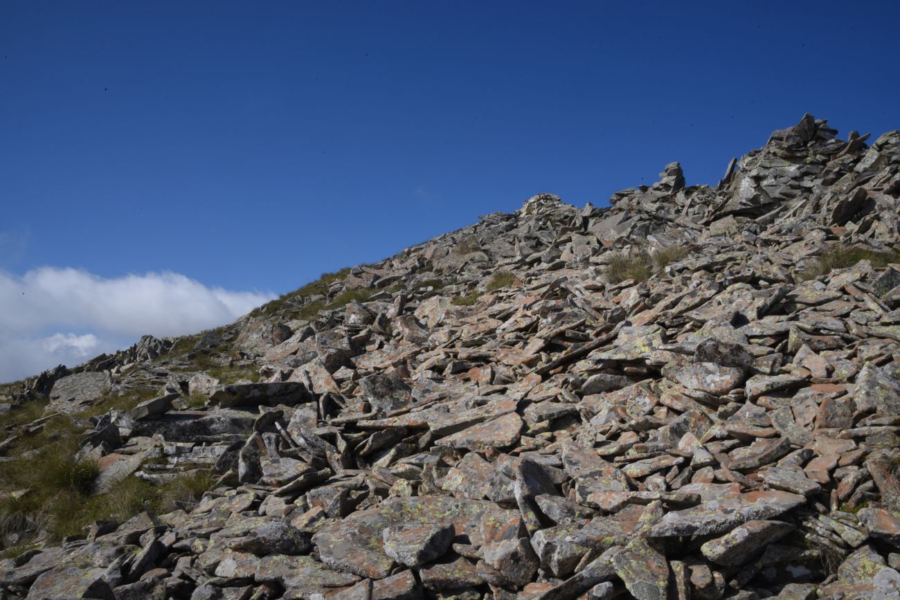 5 км от Цумандинского перевала, image of landscape/habitat.