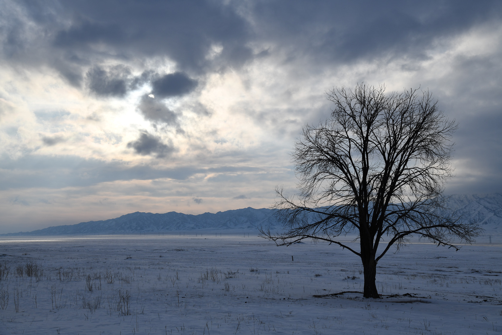 Сюгатинская долина, image of landscape/habitat.